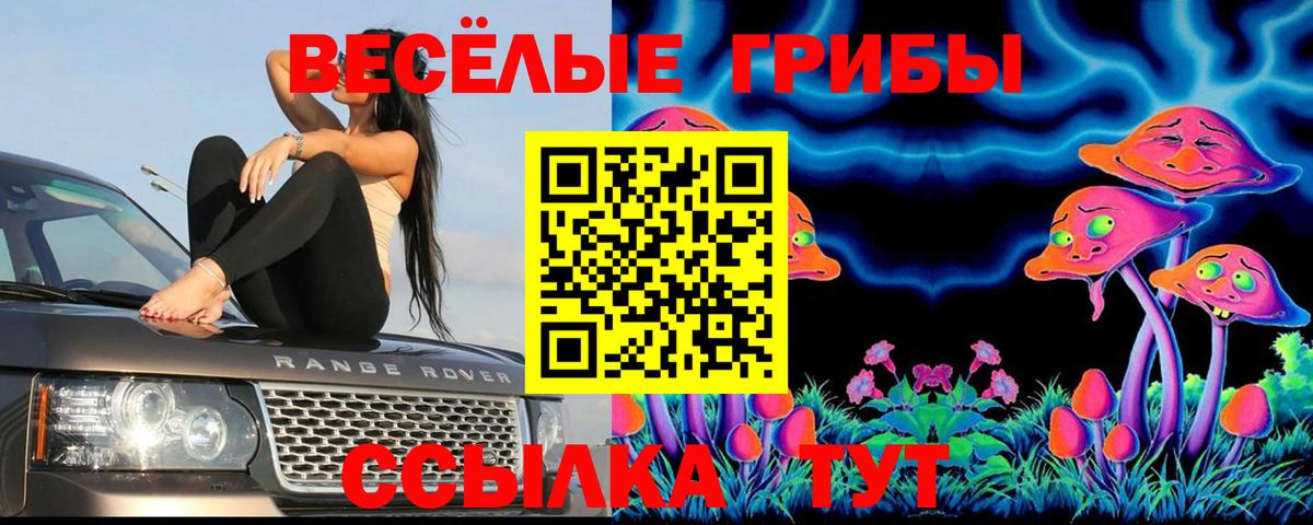 Галлюциногенные грибы прущие грибы Белово