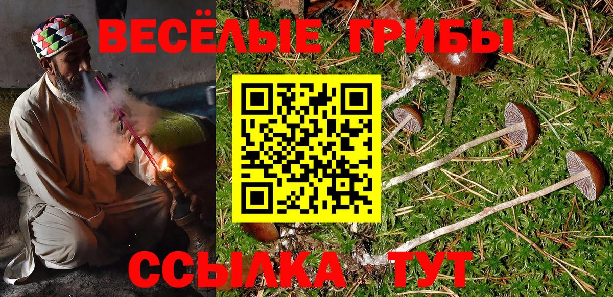 Галлюциногенные грибы мицелий  Псилоцибиновые грибы Psilocybine cubensis  Вход с VPN  Белово 